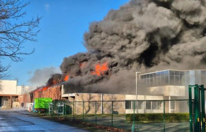 Serious fire at Punch in Hamont: police close streets, plume of smoke visible from afar (Hamont-Achel)