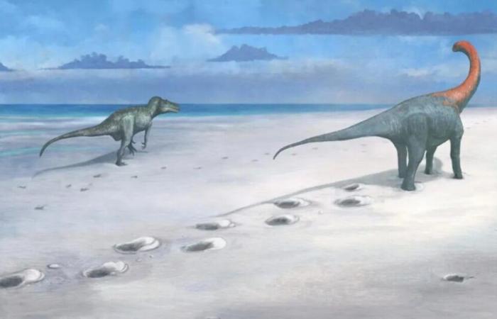 200 dinosaur footprints dating back 166 million years found in the UK