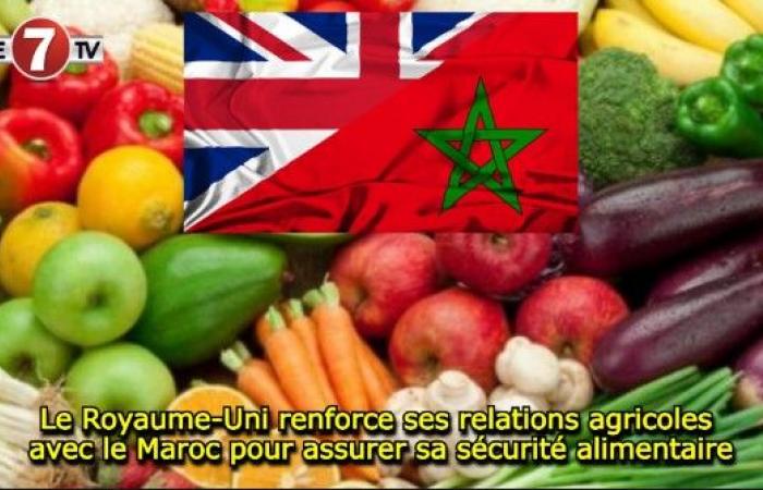 The United Kingdom strengthens its agricultural relations with Morocco to ensure its food security – Le7tv.ma