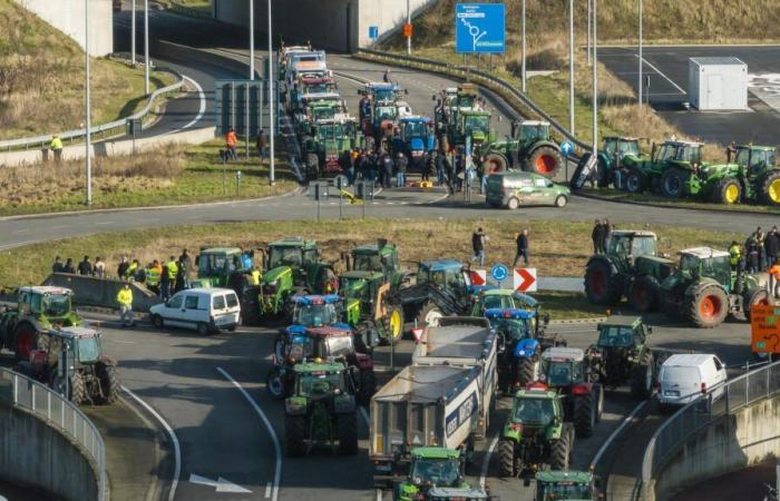 Without a response from François Bayrou, farmers are preparing “to go to Paris”