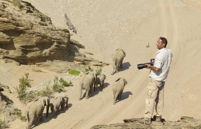 The Tarnais at the end of the world: David Rey, Mazamétain who became a safari photographer in Namibia