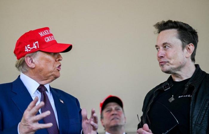 “The Trump year opens with an anti-democratic and anti-European offensive led by Elon Musk”