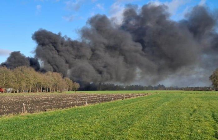 Serious fire at Punch in Hamont: police close streets, plume of smoke visible from afar (Hamont-Achel)