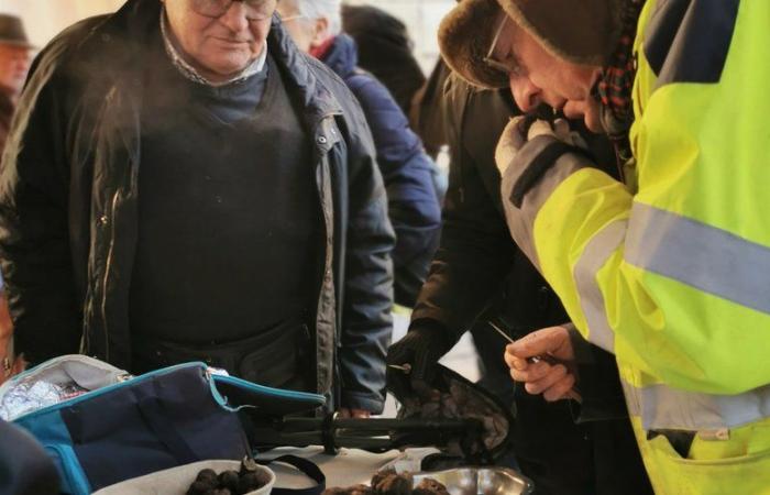 Gramat. A very cold end-of-year truffle market