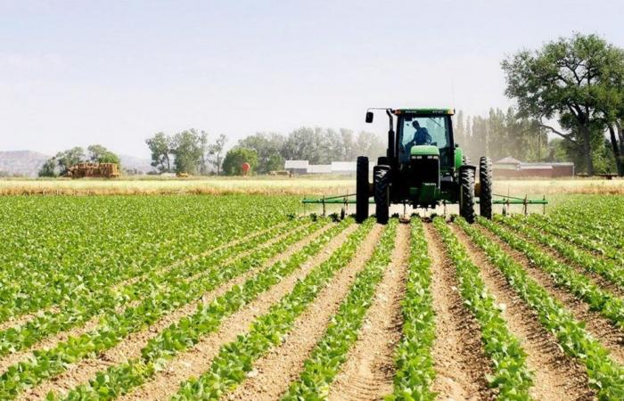 British report: Morocco’s food security and agricultural relations