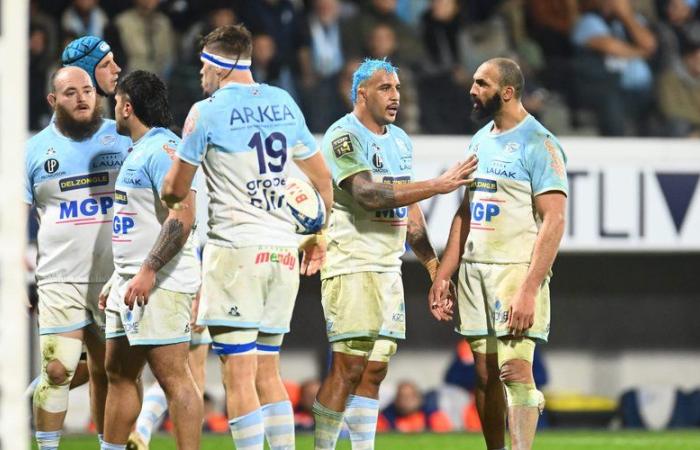 Top 14 – In Bayonne, the depth of the third line has become a strength