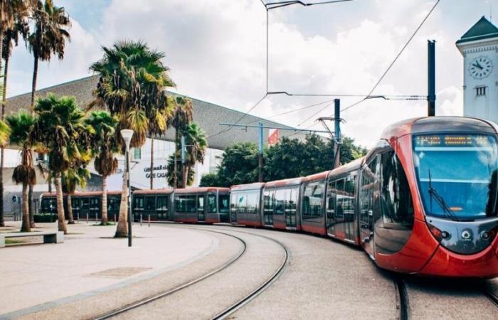 Casablanca: prison for two young people accused of attacks on public property