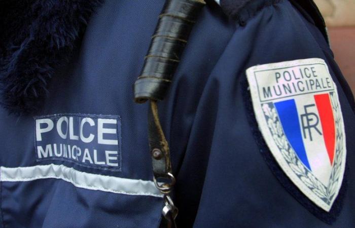 A mother and her 8-year-old son missing since New Year's Eve found dead in Drôme