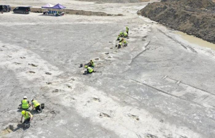 Dinosaur Footprints Found in England by Quarry Workers