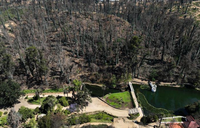 the rebirth of a botanical garden with fire-resistant species