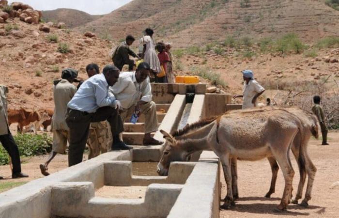 Eritrea: Improvement of social services for better living conditions in Habero | APAnews