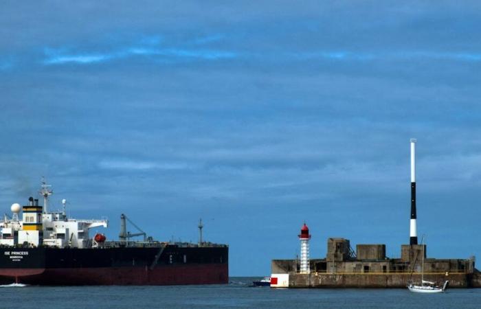 More than two tons of cocaine seized at the port of Le Havre