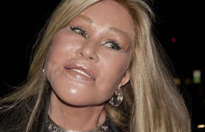 Jocelyne Wildenstein: the “cat woman” had problems with American justice before her death