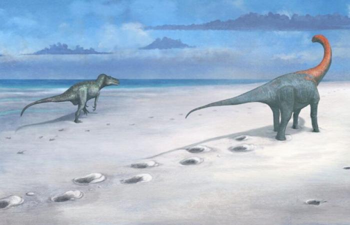 Weird bumps in UK quarry turn out to be 166 million-year-old dinosaur ‘highway’ for some of Jurassic’s biggest dinosaurs