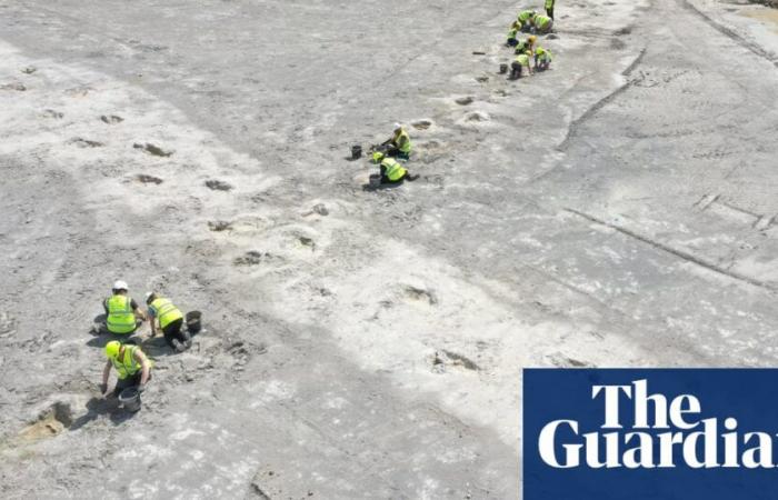 Biggest trackway of dinosaur footprints found in Oxfordshire quarry | Dinosaurs