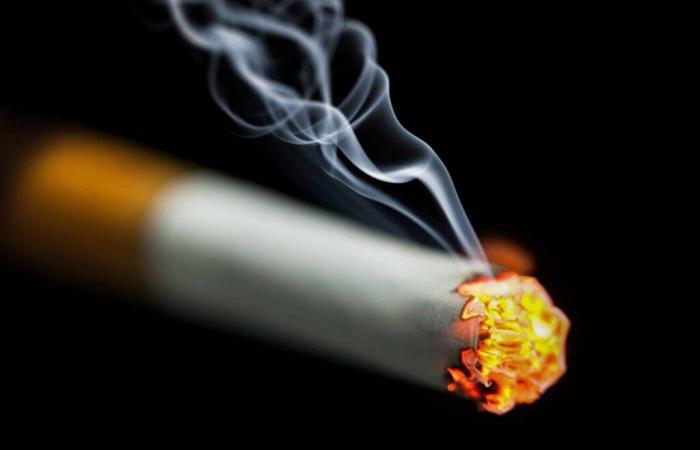 a single cigarette would reduce life expectancy by 20 minutes