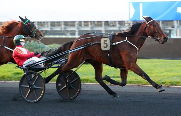 Prix ​​de Coucy-Le-Château 2025 in Vincennes: Lady Dada, received 3/3