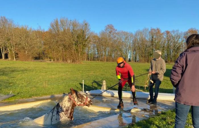 Unusual or tragic, a look back at the highlights of 2024 in Dordogne