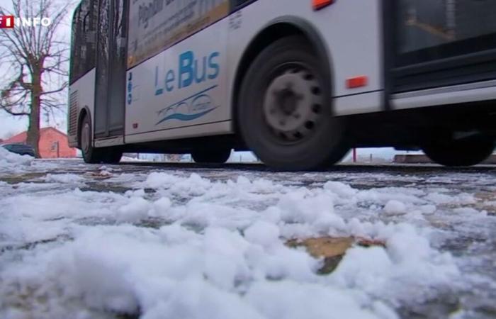 “We have planned the plaids”: caution and anticipation among motorists with snow and ice alerts