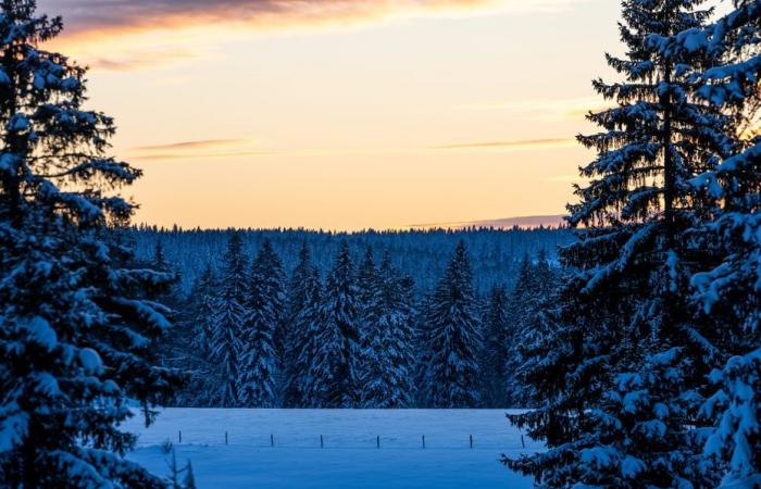 the mercury reached -31.1°C at the Swiss border and almost equals a 2013 record