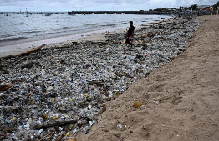 Beaches invaded by waste in Bali