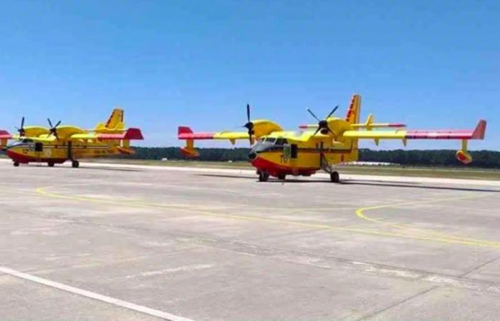 Guelma: Firefighting: Belkheir aerodrome will be rehabilitated