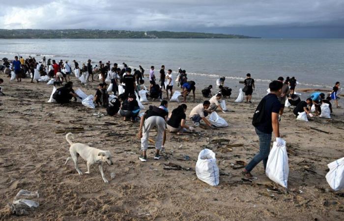 In Bali, beaches invaded by one of the “worst” plastic waste strandings, according to an NGO