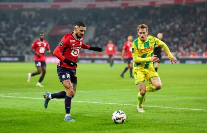 Caught by Nantes, Lille misses the podium – Ligue 1 – J16 – Lille-Nantes (1-1)