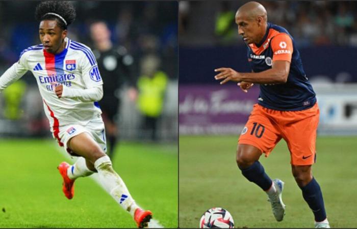 Lyon – Montpellier: TV and unencrypted broadcast, streaming and probable compositions