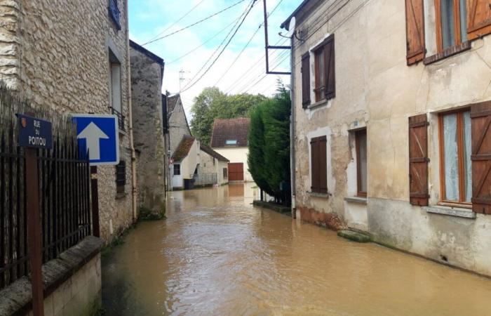 Floods, a Briard at the Paralympic Games… What made the news in 2024 in La Ferté-Gaucher