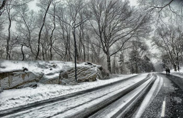 Snow and freezing rain (Grand Est – Moselle) January 4 and 5, 2025