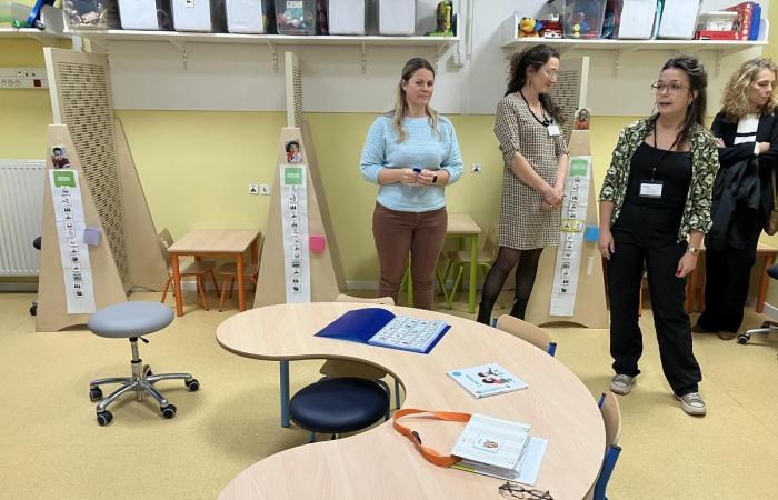 in Gironde, how specialized classes support children with autistic disorder at school