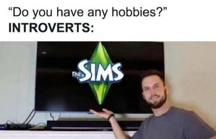 18 situations that all “Sims” addicts know