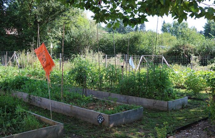 Dordogne. The garden, a social connection tool in the city