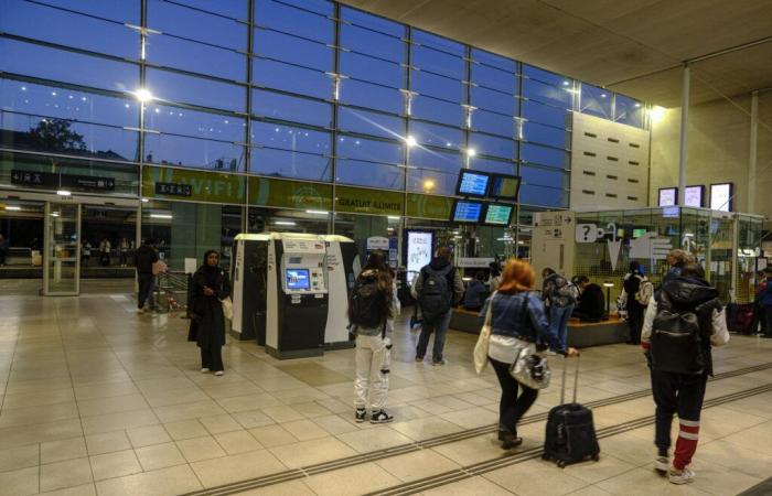 A 23-year-old young man was killed with a hammer and knife at Angers station