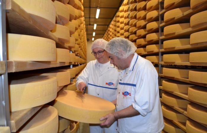 In Courgenay, visit a cheese factory worth gold