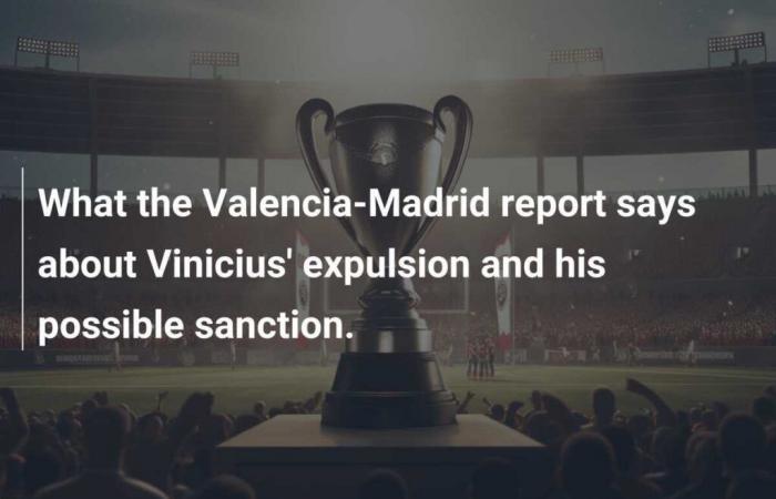 What does the Valencia-Madrid report say about the expulsion of Vinicius and his possible sanction?