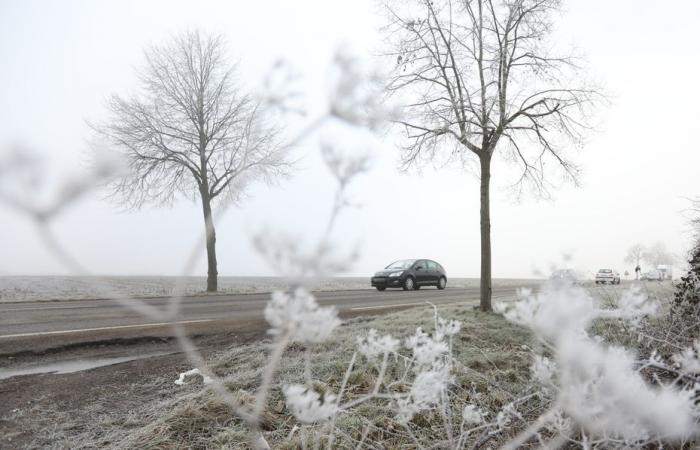 persistent freezing rain expected overnight