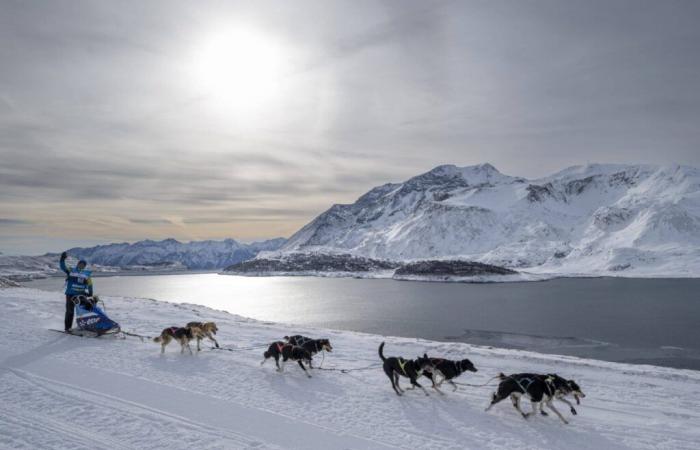 [VIVE LA FRANCE] The Grande Odyssée VVF: a legendary race in the Alps