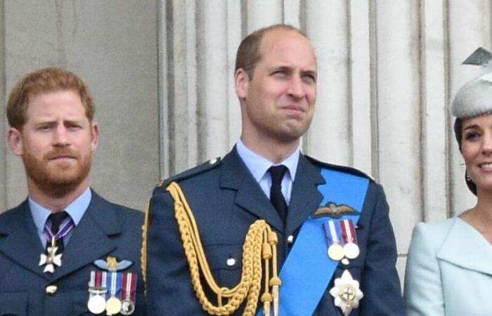 Princes William and Harry in mourning, a close relative of the royal family died in tragic circumstances at the age of 31