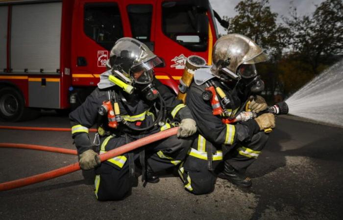 Hautes-Alpes. Around twenty firefighters mobilized for a fire in Saint-Crépin