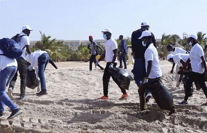 Organization of a cleaning day at Pointe Séréne: Sapco wants to reconcile sustainable tourism and community engagement – Lequotidien