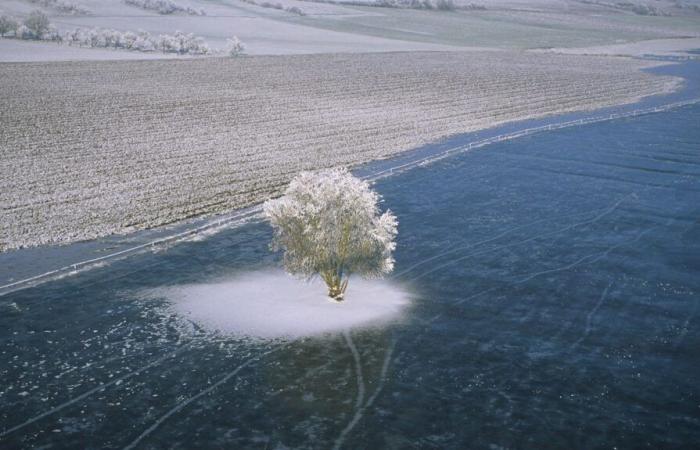 Sixteen departments in the north-east of the country placed on orange snow-ice vigilance from Saturday evening