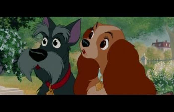 Lady and the Tramp: go behind the scenes of the film