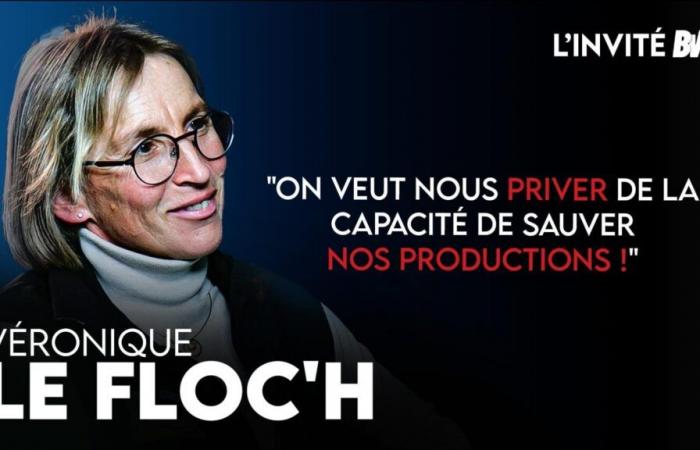 [L’INVITÉE] “Let us tell consumers the truth! »