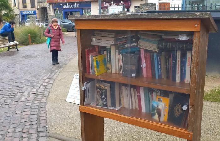 “I wouldn’t see myself throwing books away, they have to be rotated”, two book box lovers explain their approach