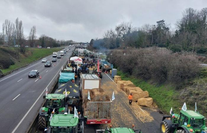 Anger of farmers: Rural Coordination wants to “go to Paris” on Sunday, a blockage planned in Lyon from Monday