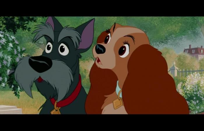 Lady and the Tramp: go behind the scenes of the film