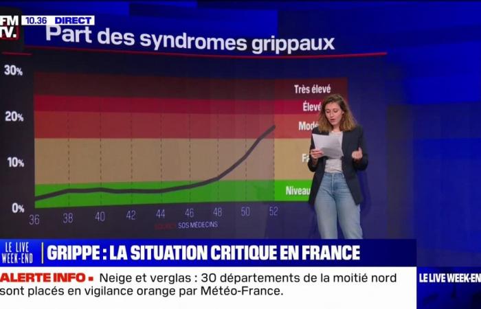 LES ÉCLAIREURS – Flu: indicators on the rise in France