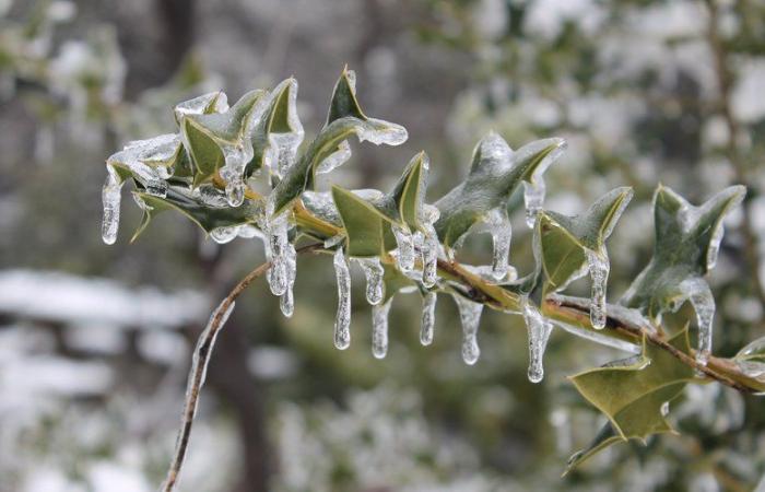 CARDS. Weather: snow and freezing rain with 16 departments on orange alert and 43 on yellow, but mild in the southwest